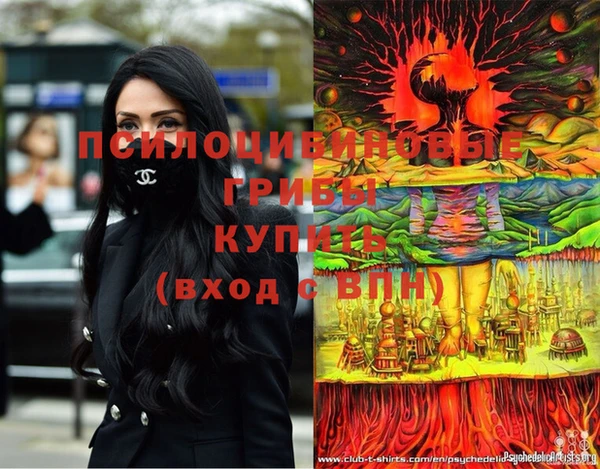 мдма Богданович