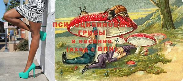 соль ск Бородино