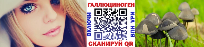Псилоцибиновые грибы прущие грибы  купить  цена  Котельники 